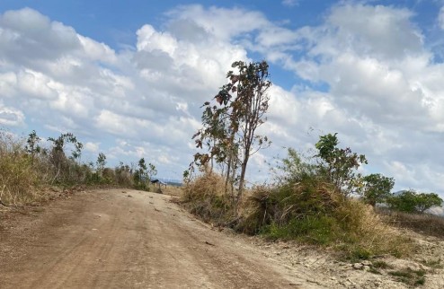 Bán đất vườn cây ăn trái, chất đất đỏ Bazan, tại xã Quảng Khê -huyện Đắk Glong-Đắk Nông.