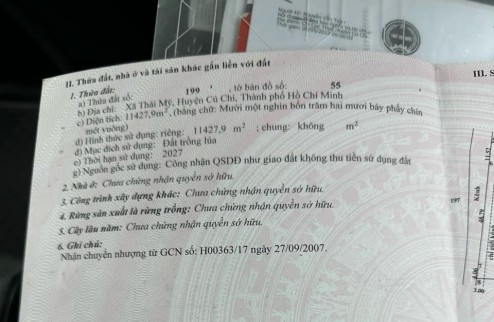 Cần Bán gấp lô 1,5 mẫu trên đất đã trồng kín Cà Na, tại  xã Tân An Hội  huyện Củ Chi TPHCM