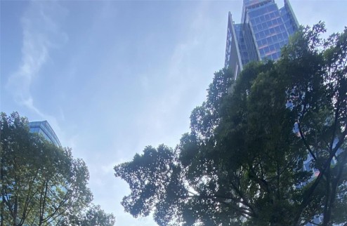 Bán tòa building mặt tiền Trần Hưng Đạo, Q1, 9 tầng, 1.900m2 sàn giá 254,9 tỉ