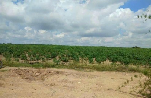 Cần bán gấp 1,7 mẫu  đất tại Xã Chư Răng- Huyện La Pa- Tỉnh Gia Lai