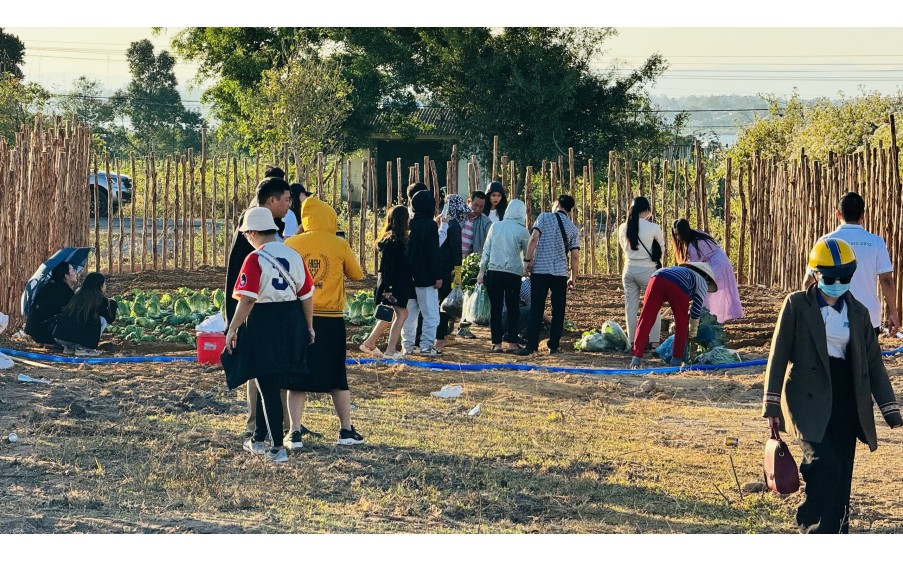 BÁN GẤP 15 CĂN FARM VÀ LÔ ĐẤT GIÁ SIÊU RẺ LỢI NHUẬN CAO