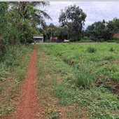 Cần bán gấp lô  đất có  tổng DT 3  mẫu tại  huyện La Pa, tỉnh Gia Lai