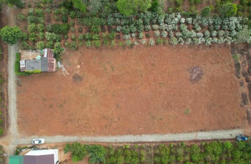 Lô đất nền khu vệ tinh của Tp Pleiku giá 350/lô full thổ cư