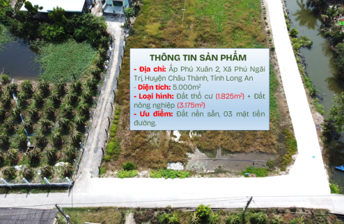 **BÁN LÔ ĐẤT Biệt thự VƯỜN 5000m2 CHỈ 6,8 TỶ** cách Q8_HCM 40km