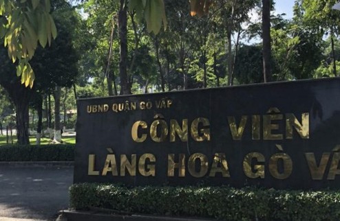 Bán nhà Gò Vấp f8 gần CV Làng Hoa 5 tầng giá chỉ nhỉnh 4 tỷ