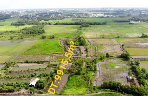 Cần bán gấp lô   tổng DT 5519 m²  đất vườn tại  xã Tân An Hội  huyện Củ Chi, TPHCM