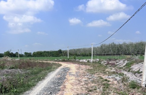 Bán Lô Đất sát nhựa lớn suối Dộp , Xã Thái Bình , Huyện Châu Thành, Tỉnh Tây Ninh