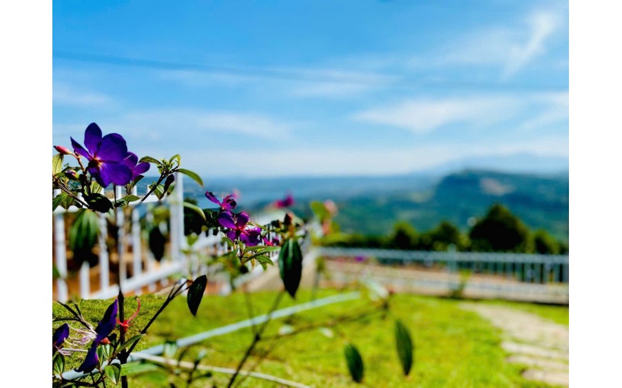 Hoàn thành sau 99 ngày thi công - Welcome to Lê Khanh Farm tại Cao Nguyên Di Linh