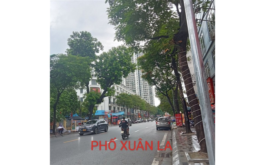 Bán Đất Phố Xuân La Quận Tây Hồ. 140m Nhỉnh 20 Tỷ. Cam Kết Ảnh Thật Mô Tả Chính Xác. Chủ Cần Bán Gấp Lo Việc Cho Con Trai. 1577