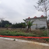 Chính chủ cần bán 2 mảnh đất thổ cư liền kề tại Thôn Đồi Sen, Xã Bình Yên, Thạch Thất