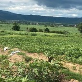 Cần bán  lô  đất  1,9 mẫu tại huyện La Pa, tỉnh Gia Lai