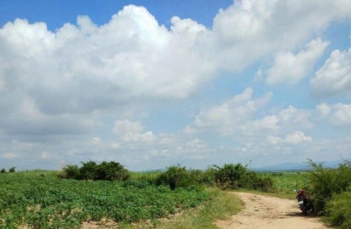 Cần bán  lô đất có  1,2 mẫu tại Huyện La Pa- Tỉnh Gia Lai