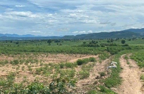 Cần bán gấp lô  đất  1,9 mẫu tại huyện La Pa, tỉnh Gia Lai