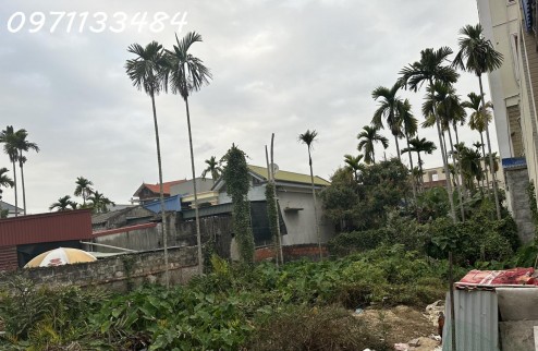 Bán đất thổ cư chính chủ Xã Dương Quan, Thủy Nguyên, DT 205.4m2, giá đầu tư