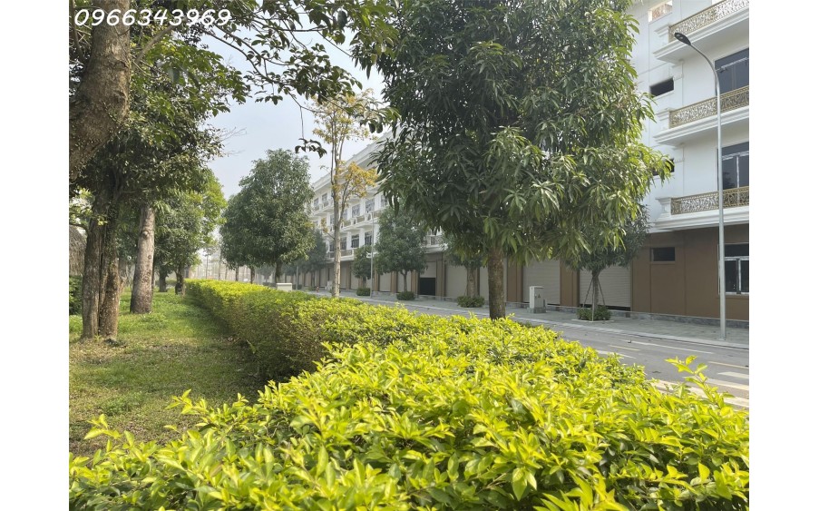 NHÀ 4 TẦNG, SẴN SỔ. 100% VIEW CÔNG VIÊN. TỈ LỆ ĐẤT TIỆN ÍCH 68.5%. CĐT: 0966 343 969