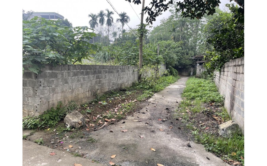 Bán đát khu phân lô dãy nhãntrung tâm thị trấn Xuân Mai, Hà Nội