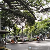 Bán nhà C4 mặt tiền Dương Quảng Hàm P5 Gò Vấp đối diện công viên 5x21m, ko lộ giới chỉ 10.5Tỷ