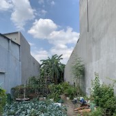 Bán đất sổ riêng, thổ cư 100% trung tâm Biên Hoà, P. Tam Hiệp. 
 giá chỉ 19tr/m2