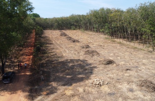 Bán đất phân lô 120m mặt tiền Minh Hòa Dầu Tiếng