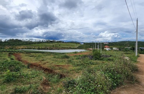 Bán Đất Đẹp - Vị Trí Đắc Địa Tại TT Di Linh, Huyện Di Linh, Lâm Đồng