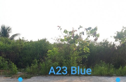 N- A23 blue, đường số 8, Phường Long Phước, TP Thủ Đức