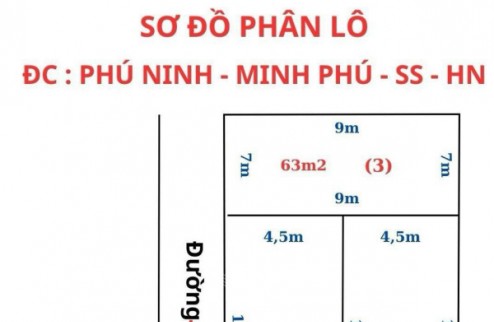 Bán gấp 78,5m2 tại Phú Minh - Minh Phú - Sóc Sơn, phù hợp đầu tư lâu dài