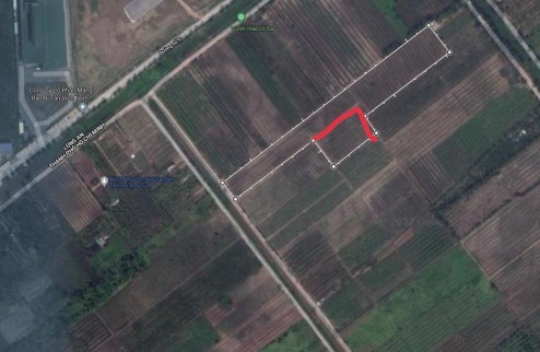 Cần bán đất gồm 2 sổ với tổng diện tích là 20178 m² tại huyện Bình Chánh TPHCM