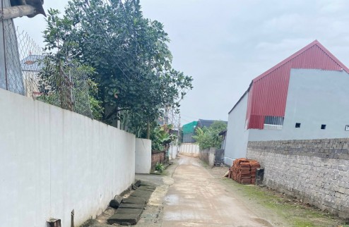 Chính chủ bán rẻ mảnh đất oto đỗ cửa tại Vĩnh Lộc - Thư Phú - Thường Tín - Hà Nội.