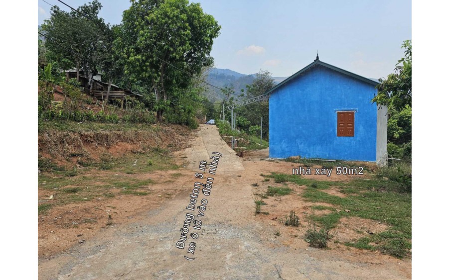 CHÍNH CHỦ BÁN 1HA ĐẤT TẶNG NHÀ SÀN GIÁ TỐT TRUNG TÂM MỘC CHÂU-SƠN LA