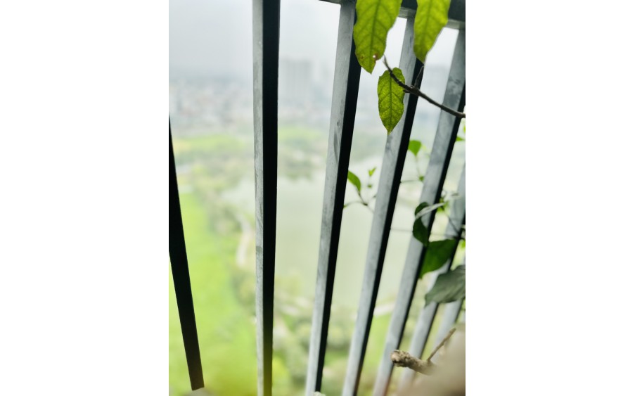 Cần tiền bán gấp căn góc 4 ngủ 132m2 N01 T1 Ngoại giao đoàn View Hồ cực đẹp giá bán 70tr/m2, NT xịn