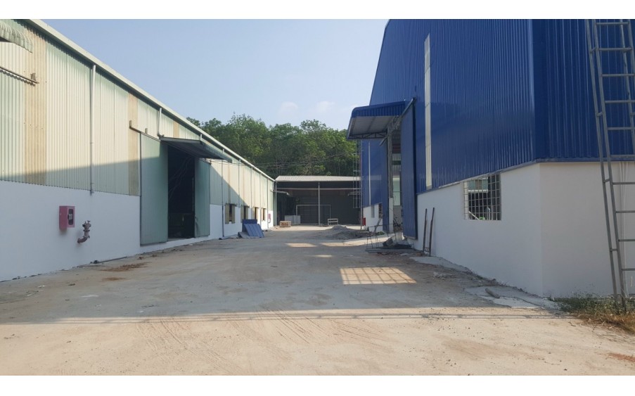 Cho Thuê Nhà Xưởng Ở An Lập, Dầu Tiếng, Bình Dương - Diện Tích Đất 17,000m², Diện Tích Xưởng Từ 8,000m² Đến 5,000m², Văn Phòng 500m² x 2, Giá Thuê