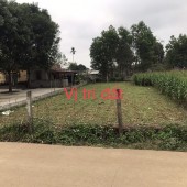Bán lô đất 290m2 xã Phú Long-Nho Quan,Ninh Bình gần khu du lịch Hồ Đá Lải Sổ đỏ cc
