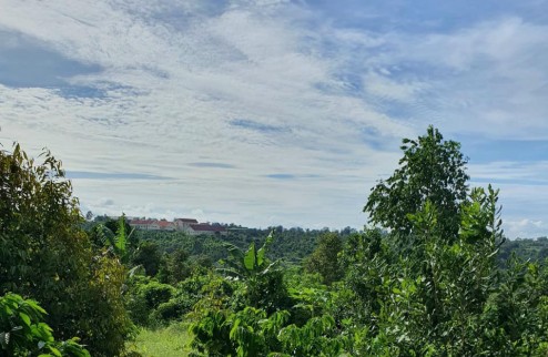 View đồi trung tâm p. An Lạc tx Buôn Hồ. DT 4.500m2 Hai mặt tiền