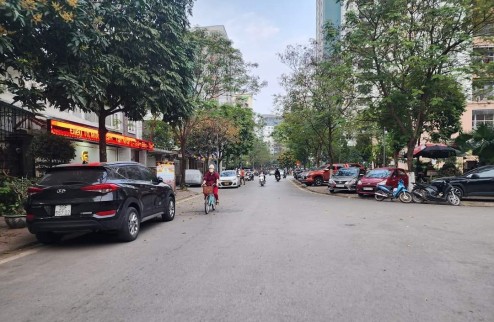 Mảnh Đất Vàng, KĐT Bắc Linh Đàm, Hoàng Mai, 220m x 12m. Giá 35.2 tỷ.
