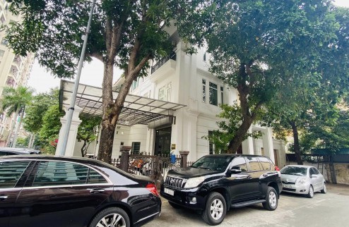 Bán Nhà Mặt phố Bạch Mai, Kinh Doanh Sầm Uất, 47m x 4T. Giá 15.5 tỷ.