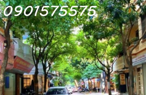 Chính chủ cần bán nhà mặt phố Đỗ Quang - Nhà 2 mặt tiền vỉa hè rộng - Kinh doanh cực đỉnh