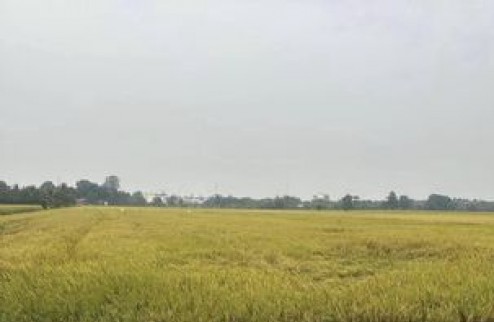 Bán gấp lô Đất Tây Ninh, huyện Tân Biên, xã Hòa Hiệp Giá 650tr