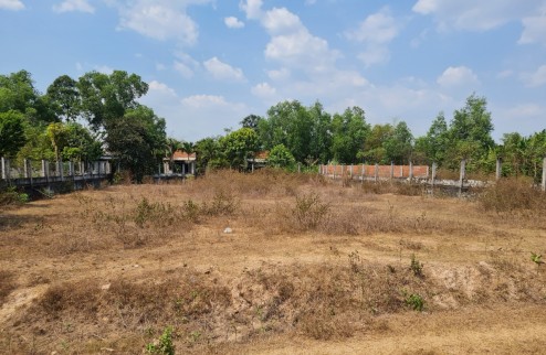 Bán đất Mặt tiền đường ĐT821, tại xã Lộc Giang, huyện Đức Hòa, tỉnh Long An