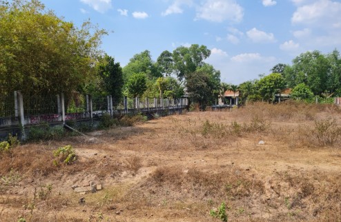 Bán đất Mặt tiền đường ĐT821, tại xã Lộc Giang, huyện Đức Hòa, tỉnh Long An