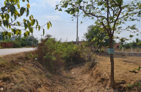 Bán gấp lô đất Mặt tiền đường ĐT 821, xã Lộc Giang, huyện Đức Hòa, tỉnh Long An