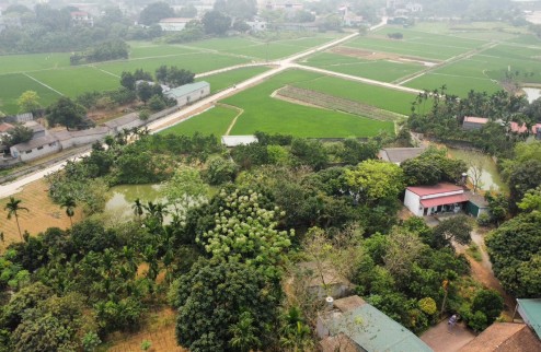 Cần bán đất dịch vụ đồng trà, Phú Nghĩa.chỉ hơn 2 tỷ xíu
- Diện tích 65m. mặt tiền = hậu 4.33m
- Đã có sẵn cơ sở hạ tầng, điện, nước, vỉa hè.