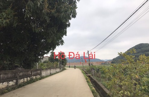 Bán lô đất 290m2 xã Phú Long-Nho Quan,Ninh Bình gần khu du lịch Hồ Đá Lải Sổ đỏ cc