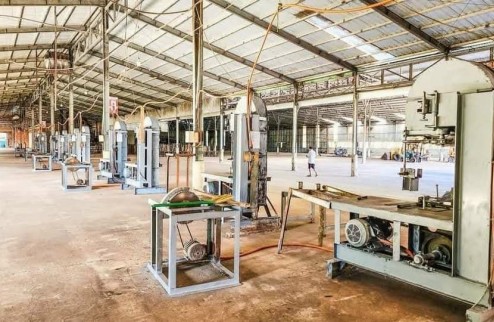 Cho thuê xưởng cưa xẻ gỗ tại Tân Thành, Đồng Xoài, Bình Phước giá siêu rẻ chỉ 180tr cho 8000m2