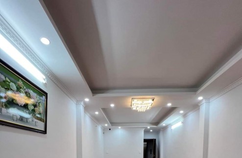 Cho thuê nhà mới chính chủ 80m2x4T, KD, VP, Nhà hàng, Nguyên Hồng-20Tr