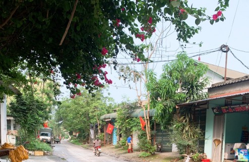 Trần Phú hàng phân lô dành cho dân đầu tư 
Giá chỉ hơn 7tr/m
Bán kính vài trăm mét đầy đủ tiện nghi 
Điện trường trạm y tế.chợ dân sinh