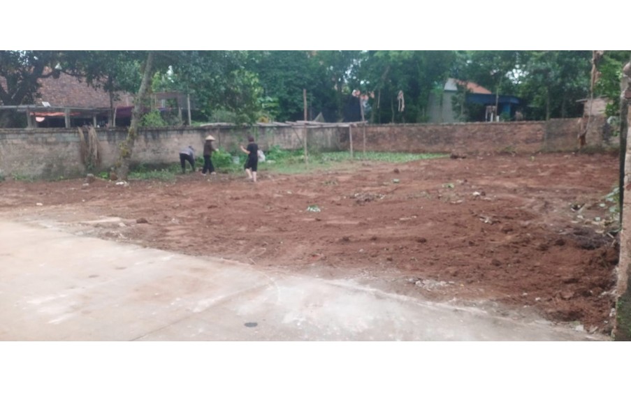 Đất 387m2, Full thổ cư, tk 6, Thụy Hương, Chương Mỹ, giá chỉ 1x tr/m2, ô tô, ngõ thông