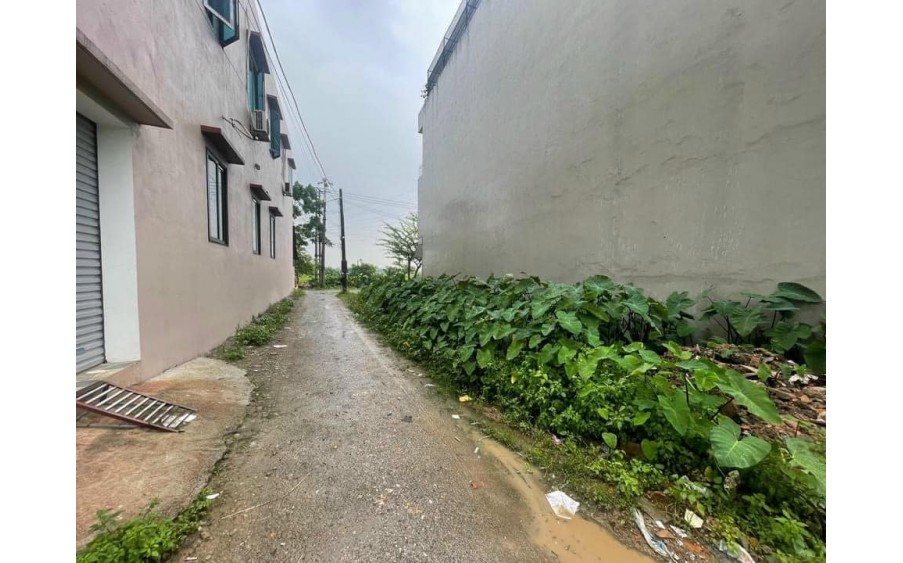 90m2 Bình Sơn tt Chúc Sơn, tk5, mặt tiền 10,9m nở hậu đẹp, ô tô vào, giá đầu tư 2.x tỷ