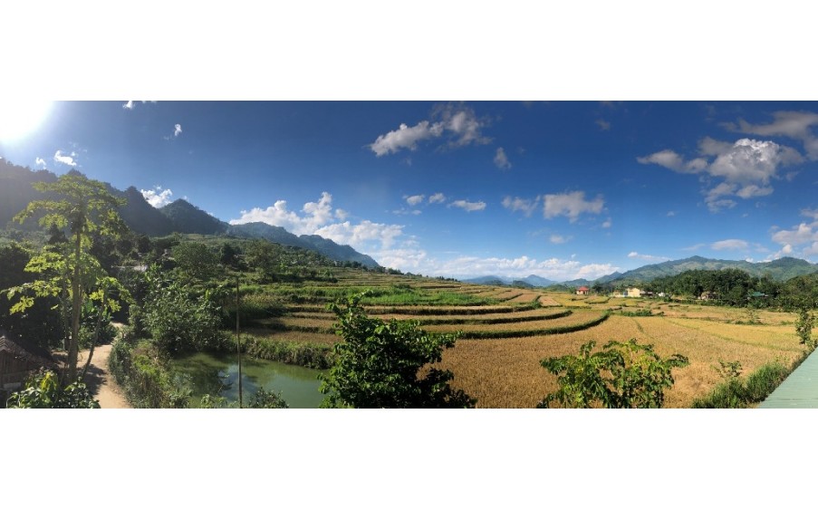 Bán nhà vườn Mộc Châu-Sơn La