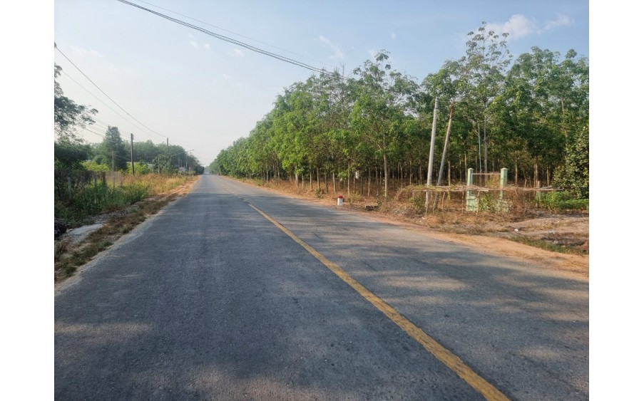 Bán đất Lộc Ninh.Diện tích: 6.3 Ha.Đất Cảnh Lộc Ninh (Có 200m2 Ong Trống).
Mặt tiền: 41m, nở hậu, đường ĐT 749A.Giá: 27 tỷ. Có thương lượng