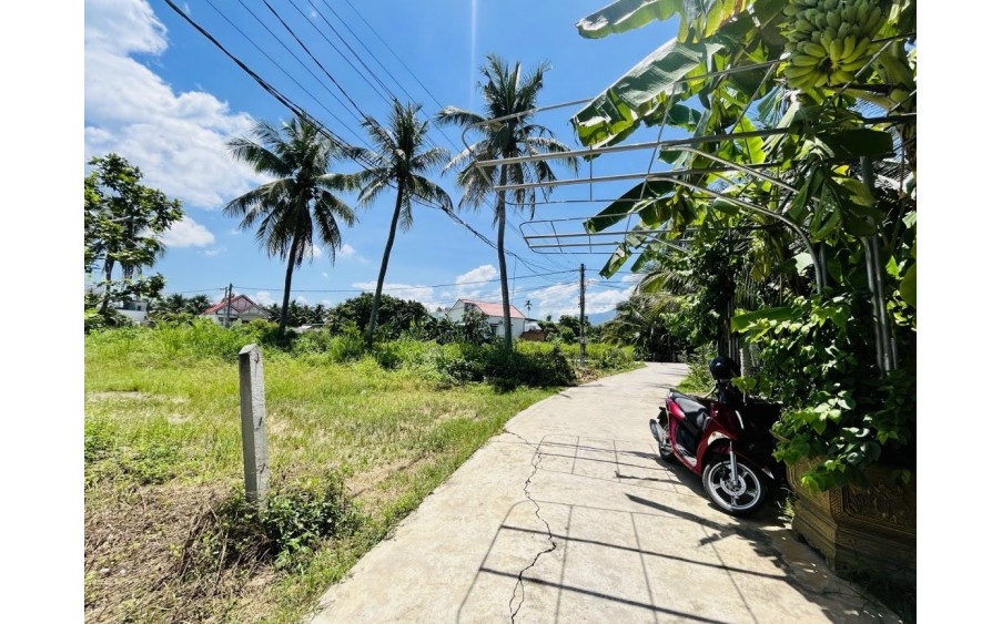 Bán đất gần bên xe Phía Nam Nha Trang giá 8tr7m Diên Toàn Diên Khánh lh 0395287569